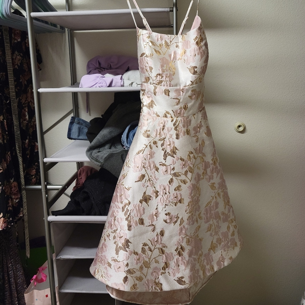 Pink and gold dress